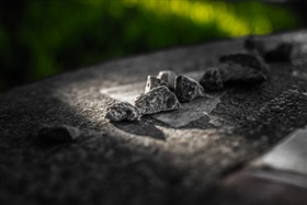 Ça bouge dans les cimetières : ne manquez pas nos deux formations sur le règlement communal des cimetières et les nouveautés législatives