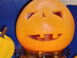L’OEC Horror Show…