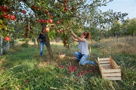 Travailleurs saisonniers : les règles ont été précisées